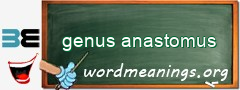 WordMeaning blackboard for genus anastomus